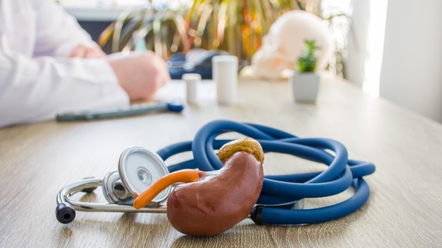 A stethoscope and a model of a kidney rest on a wooden table in a medical office setting.