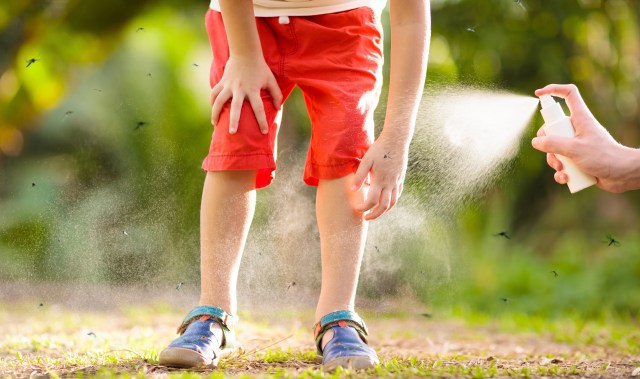 A child in red shorts is having insect repellent sprayed on their legs in a grassy outdoor setting with mosquitoes.