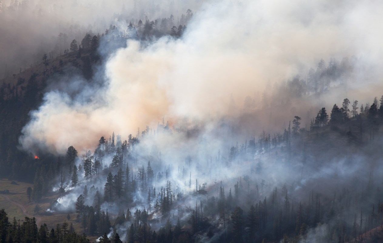 Smoke over a burning forest.