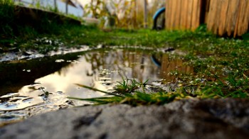 A close-up view of a puddle surrounded by grass and stones, reflecting the sky and nearby plants.