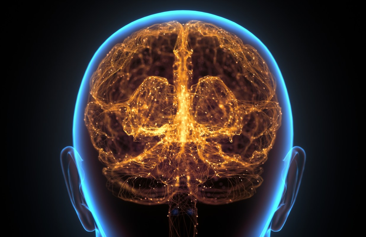 A digital illustration of a glowing brain with intricate neural connections.