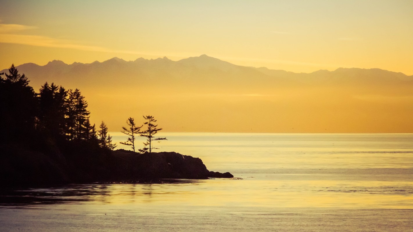 A serene sunset over calm waters with silhouetted trees and distant mountains in warm golden hues.