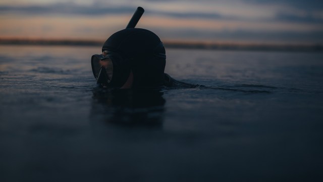 A snorkeler emerges from calm water at dusk.