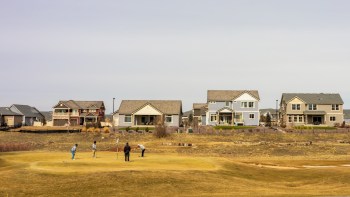 Four golfers practicing on a green, with suburban homes in the background under a clear sky.