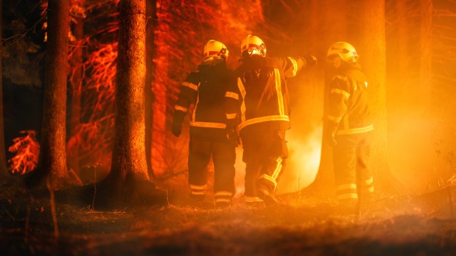 Three firefighters in protective gear battle a forest fire.