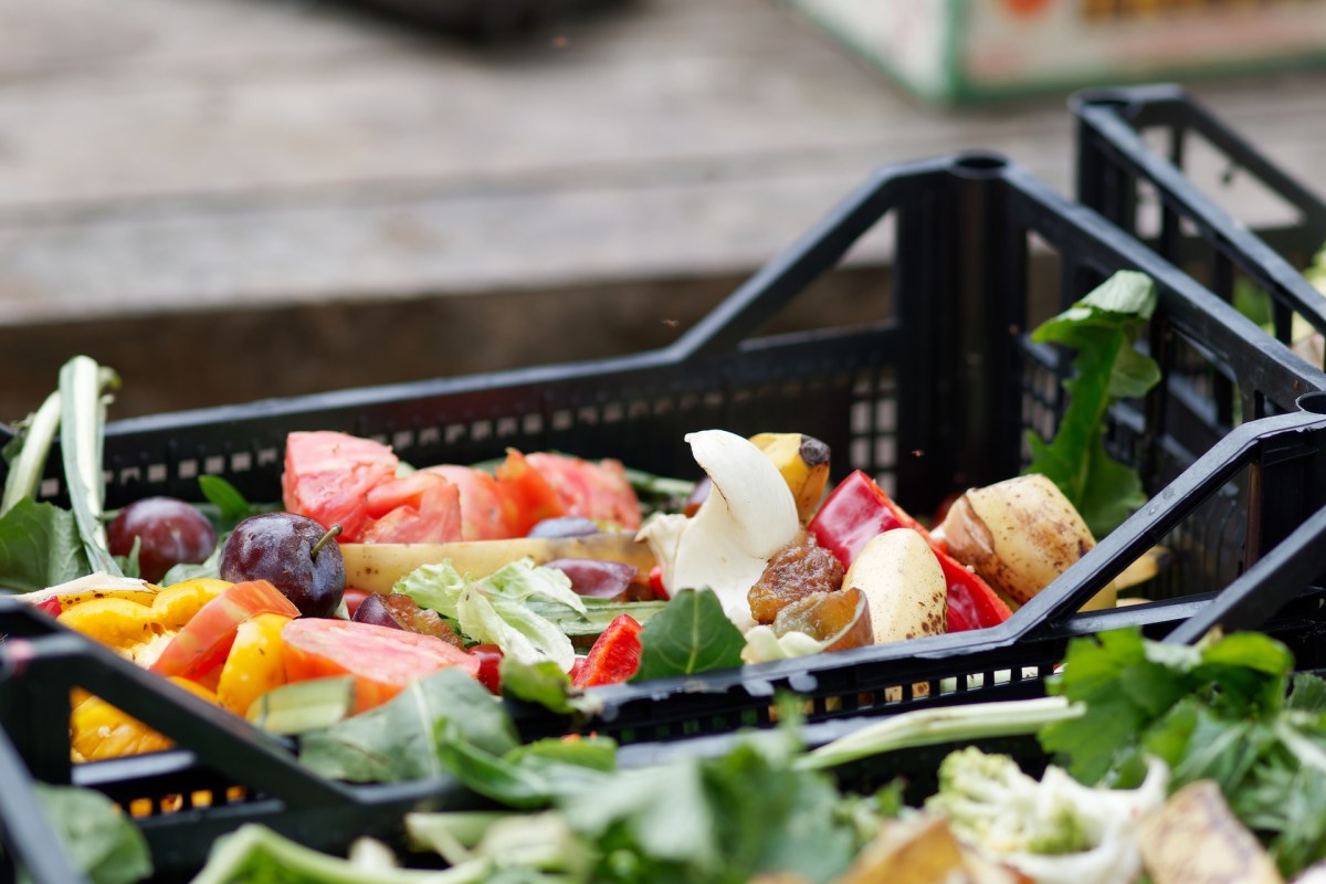 A black crate filled with various discarded fruits and vegetables, including tomatoes, peppers, and greens.
