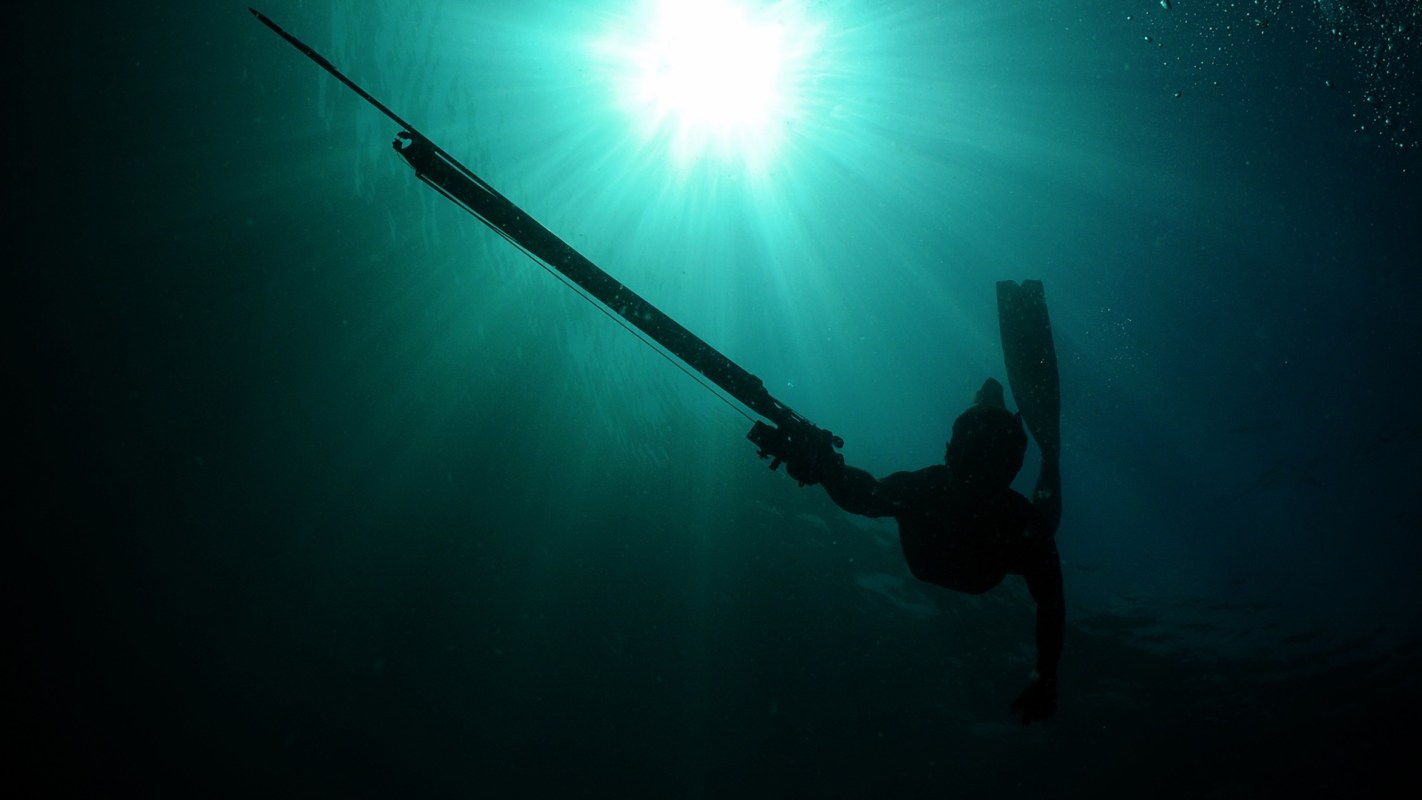 A silhouette of a spear fisher swimming underwater, illuminated by sunlight piercing the surface.