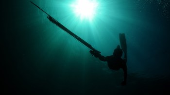 A silhouette of a spear fisher swimming underwater, illuminated by sunlight piercing the surface.