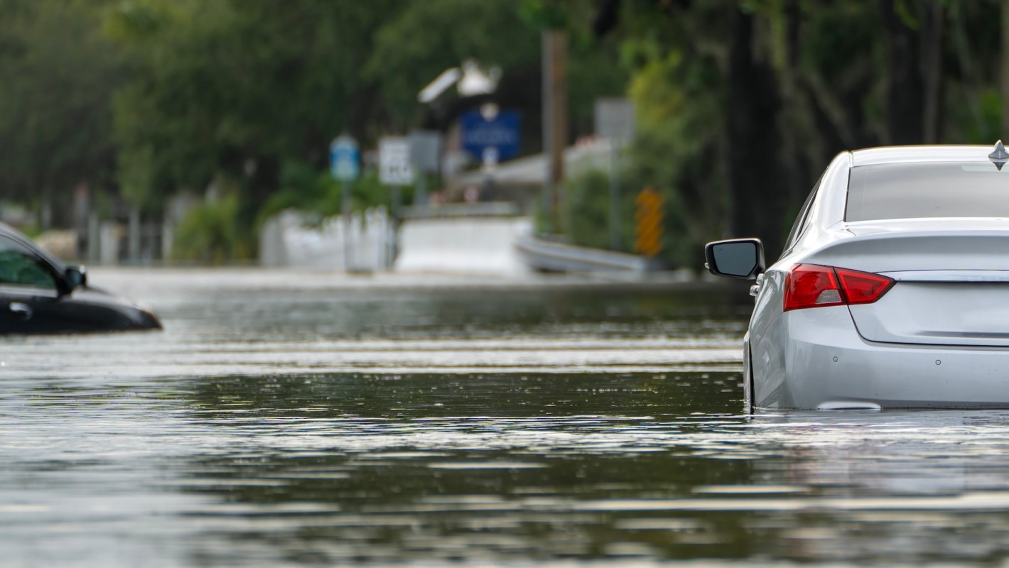 A flooded street with partially submerged cars and a backdrop of blurred trees and road signs.
