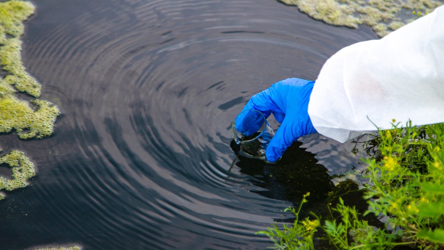 A gloved hand reaches into dark water to collect a sample, surrounded by green algae and grass.