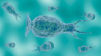 An abstract illustration of microscopic organisms in shades of blue and green on a light blue background.