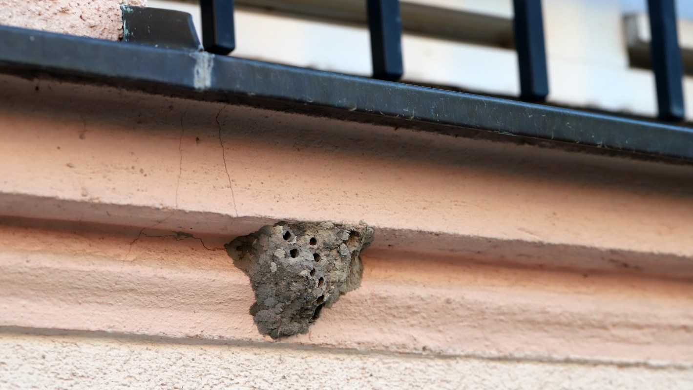 A rough wall section showing a honeycomb-like wasp nest with holes near a black railing.