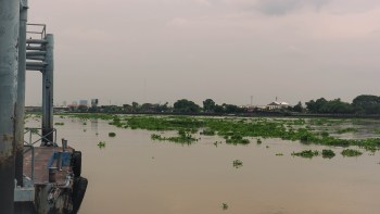 A dark orange river scene with lush greenery and distant buildings under an overcast sky.