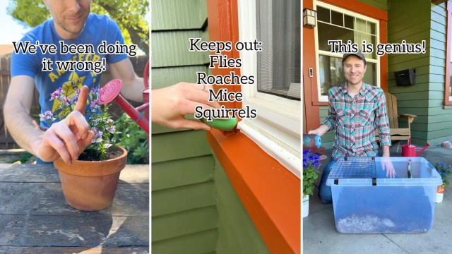 A man demonstrates gardening tips, including bug prevention and clever planting techniques.