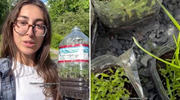 A woman holds a plastic bottle filled with seedlings, surrounded by greenery and small plants in containers.