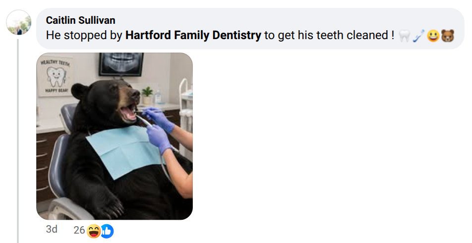 A comment with an AI-generated photo of a black bear at the dentist.