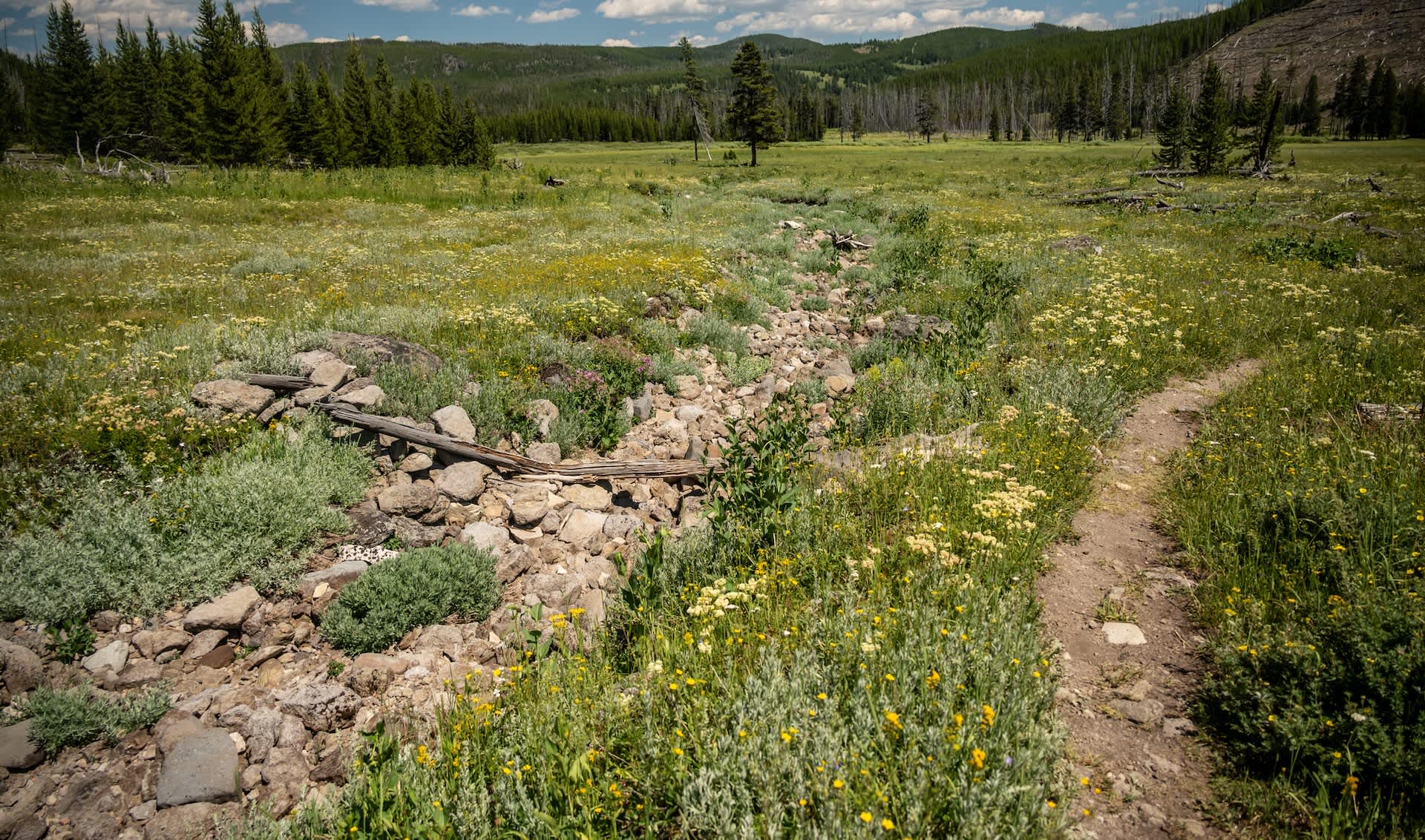 Ancient hunters stopped using a Montana bison kill site after drought dried a crucial creek