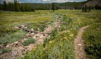A serene landscape featuring a rocky dry creek bed surrounded by vibrant wildflowers and grassy meadows.