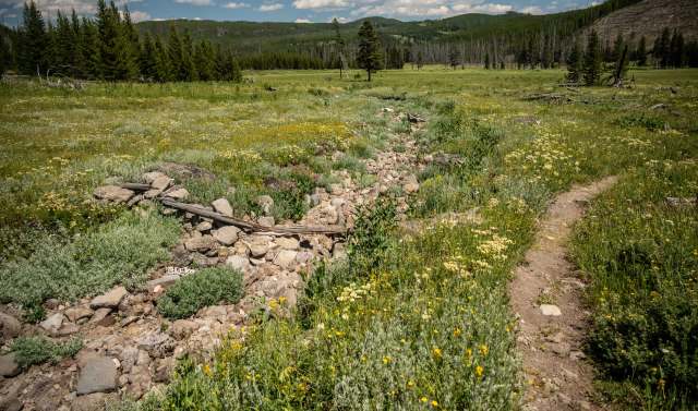 A serene landscape featuring a rocky dry creek bed surrounded by vibrant wildflowers and grassy meadows.