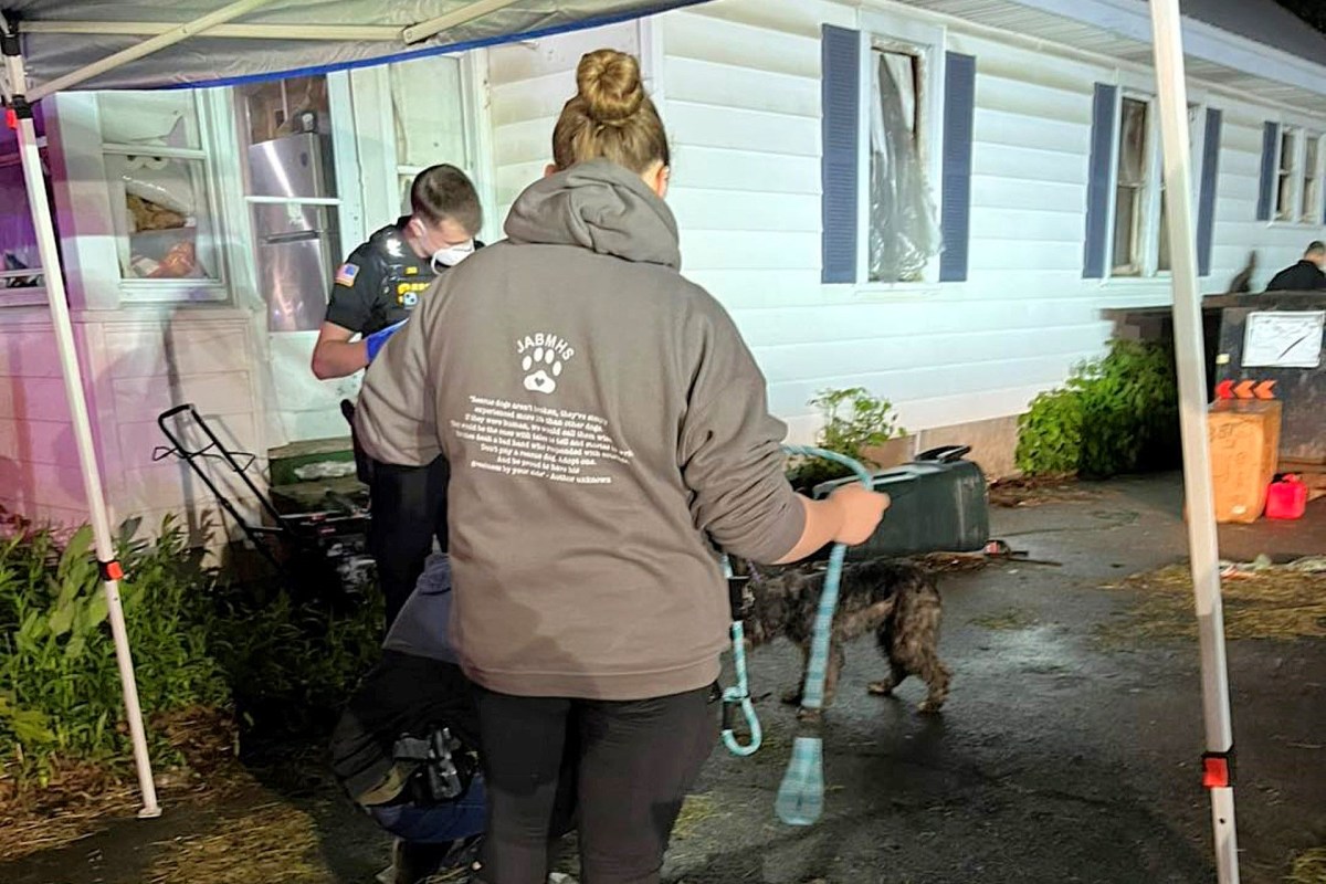 A person in a hoodie holds a dog leash while attending to a dog outdoors at night near a house.