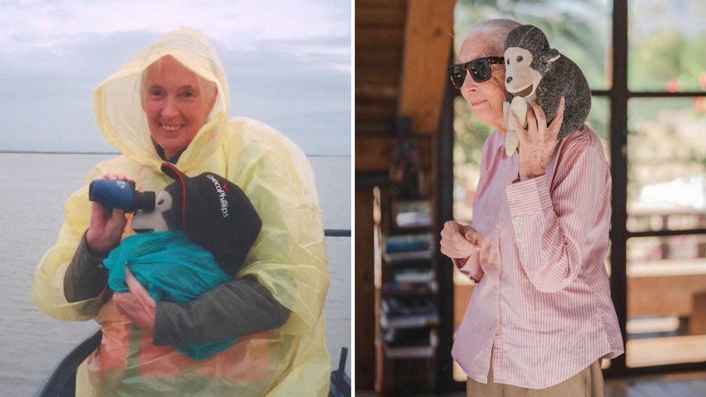 Jane Goodall, in a yellow poncho, holds a stuffed monkey while using binoculars on a boat, then has one on her shoulder.
