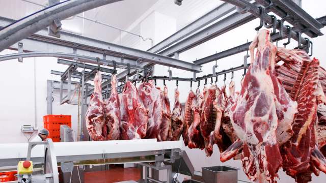 Hanging cuts of meat in a processing facility, with a clean and organized work environment.
