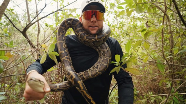 A person in sunglasses holds a large snake while it is wrapped around his neck amid green foliage in a forest.