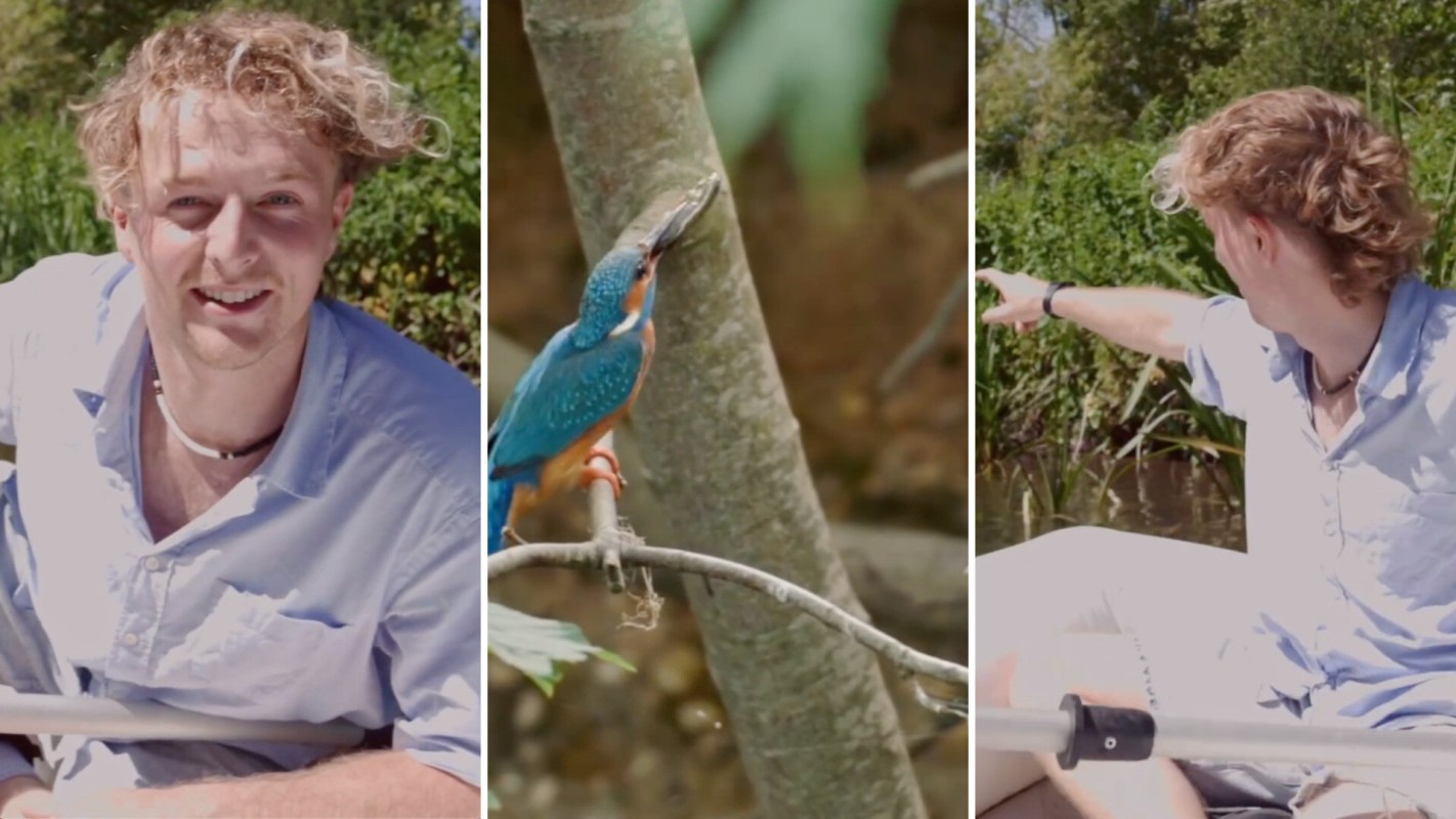 A young man smiles beside a vibrant kingfisher perched on a branch in a natural setting.