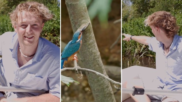 A young man smiles beside a vibrant kingfisher perched on a branch in a natural setting.