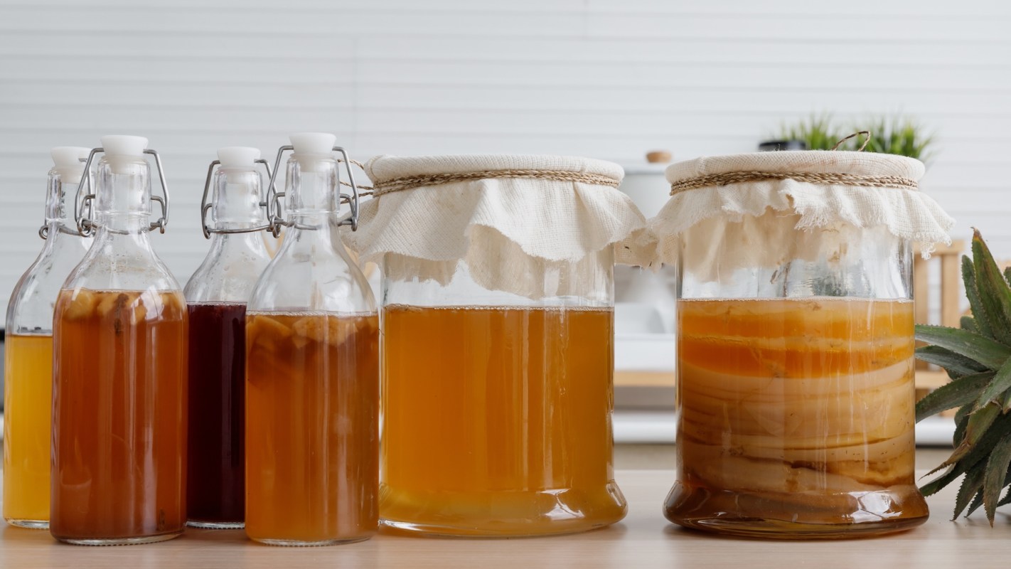 Bottles of homemade kombucha and two large jars with SCOBYs, set against a simple kitchen background.