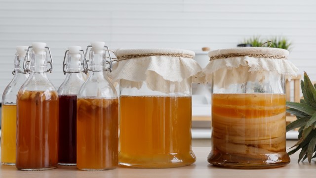 Bottles of homemade kombucha and two large jars with SCOBYs, set against a simple kitchen background.