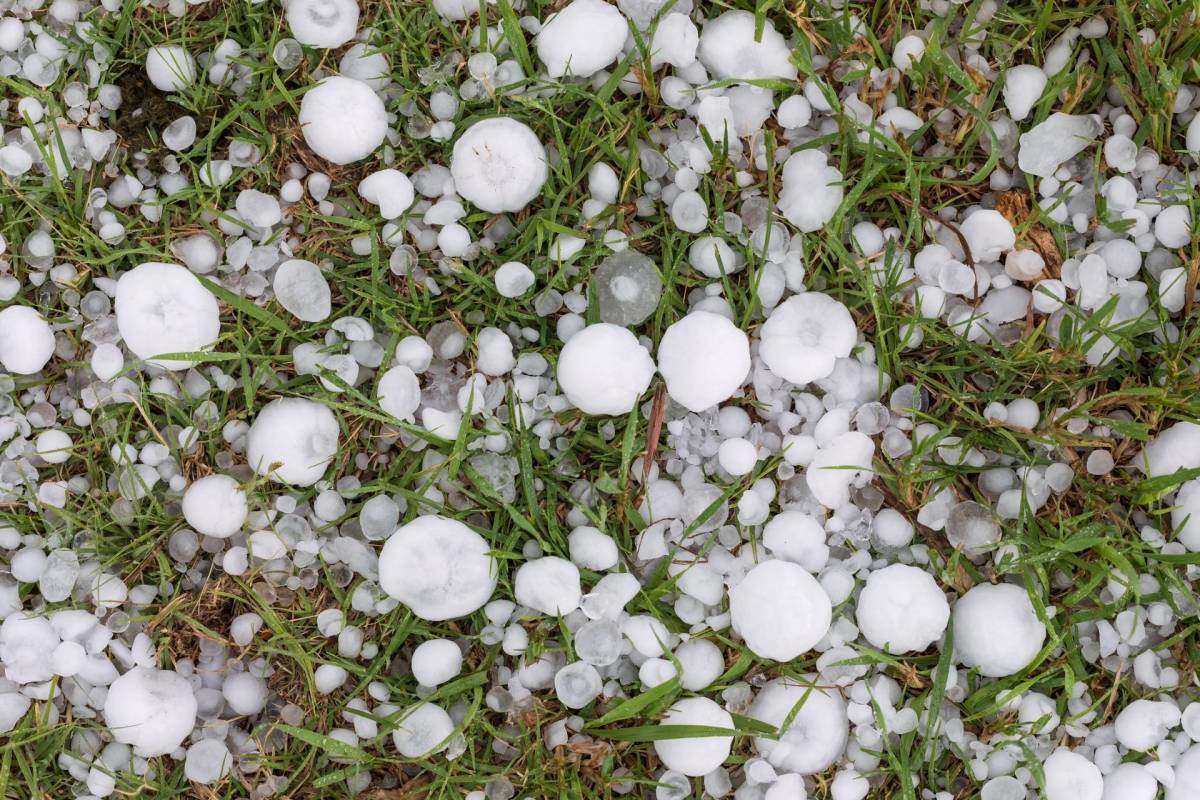 Large hail after a storm.