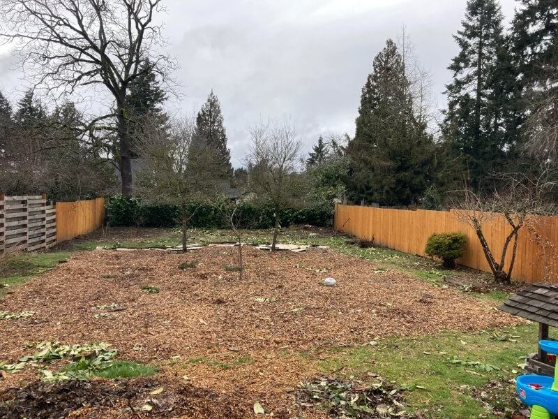 A large bed of mulch in a backyard with three trees growing in it.