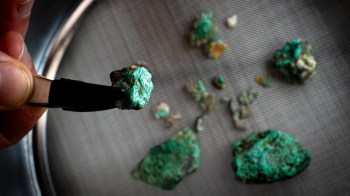 A hand holding a green mineral specimen with several similar pieces scattered in the background.