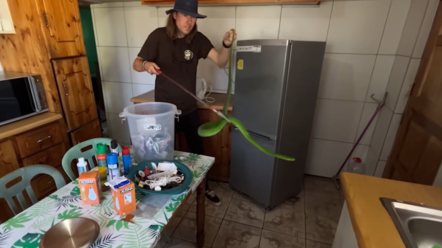 A person in a kitchen uses a stick to handle a mamba snake.