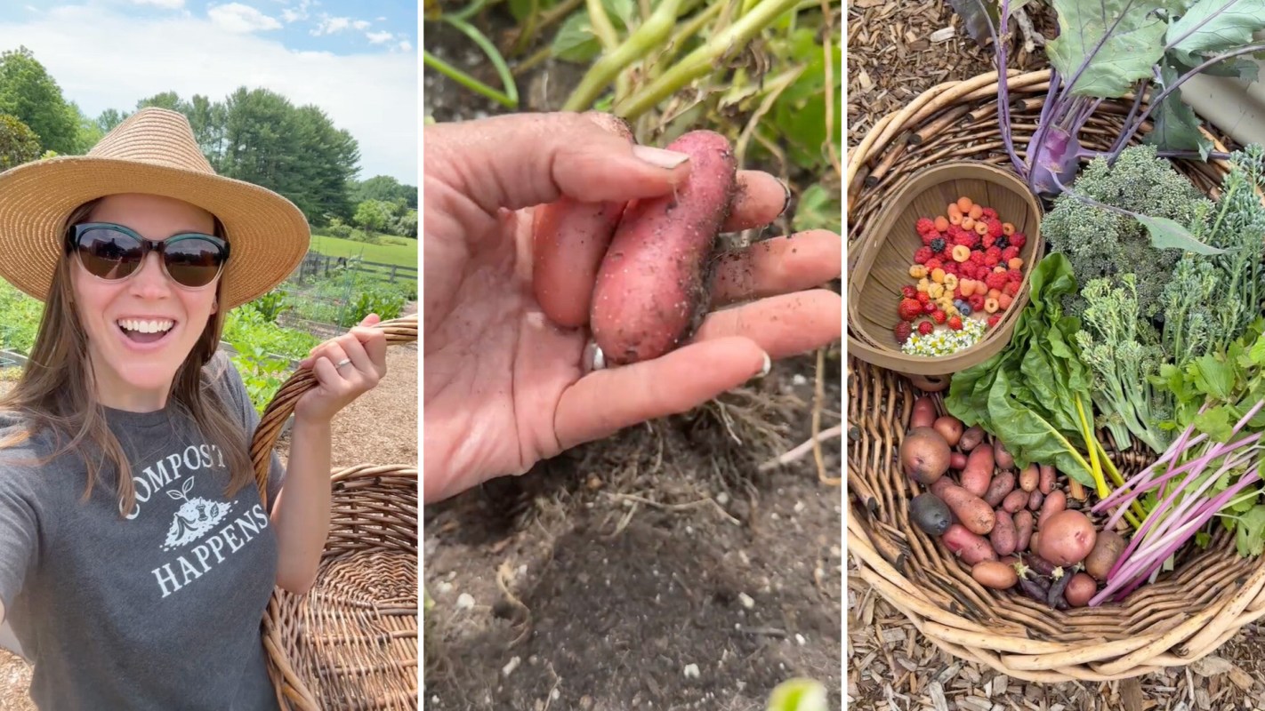 A woman in a garden holds a basket while showing freshly harvested vegetables and berries.