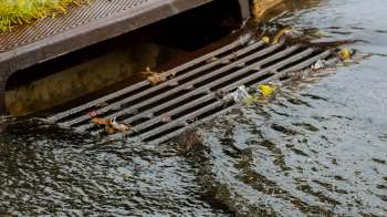 A metal storm drain partially submerged in water, with leaves and debris floating around it.