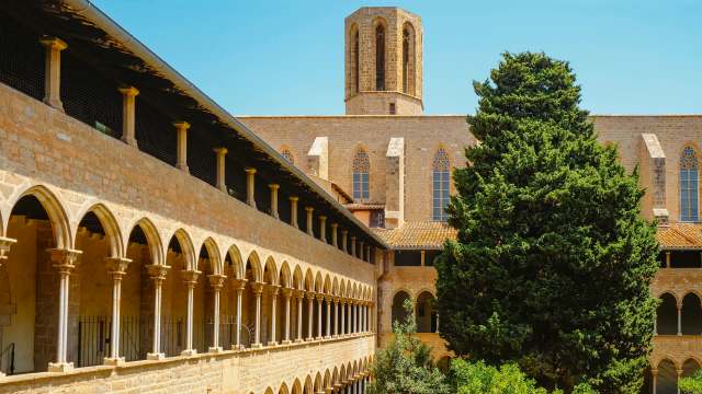 A sunny courtyard view featuring stone arches, greenery, and a tower in an ancient monastery.
