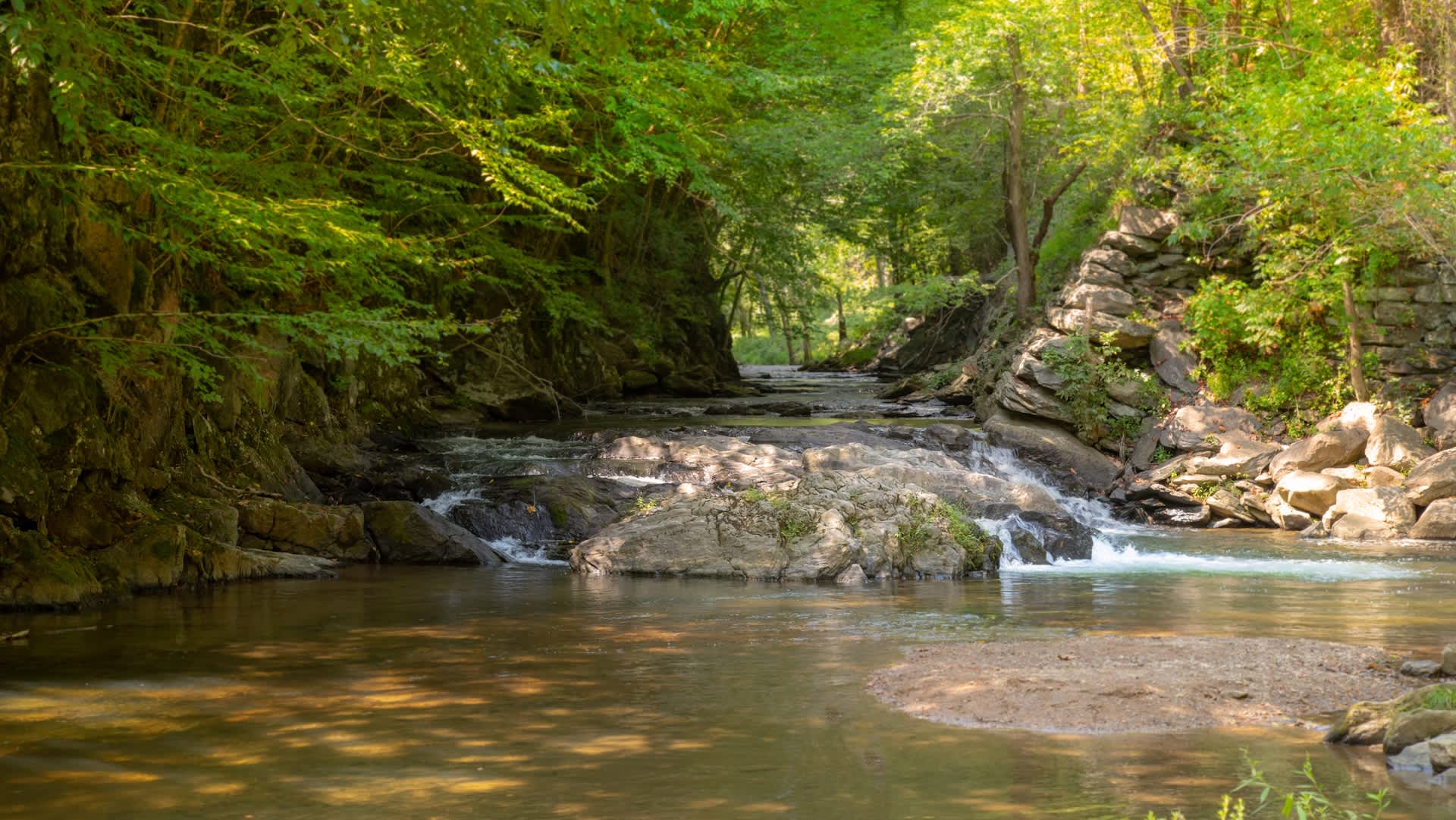 'Forever chemicals' found in Maryland creek spark warning: Do not fish, wade, or let pets in