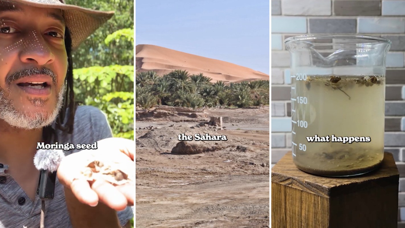 A man shares moringa seeds while showing the Sahara landscape and a beaker with water and sediment.