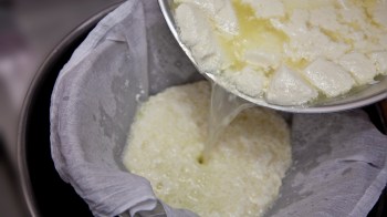 A close-up of curds being poured into a cheesecloth to drain excess whey in a pot.