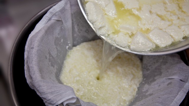 A close-up of curds being poured into a cheesecloth to drain excess whey in a pot.