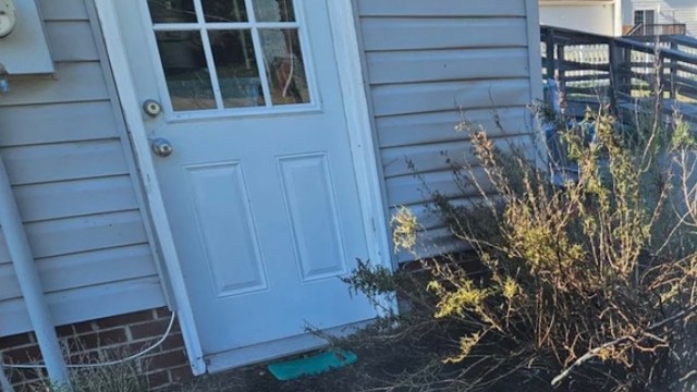 A white door with a window is flanked by dry bushes against a light-colored wall, with a visible electrical meter nearby.