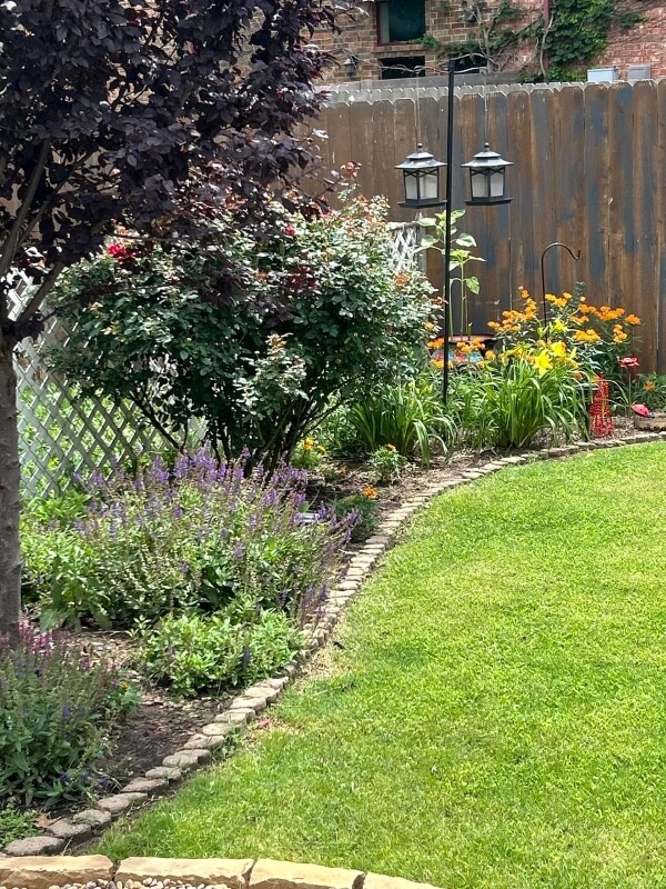 A garden bed filled with colorful plants.