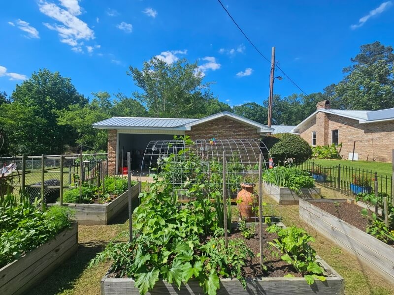 A outdoor garden with raised beds. 