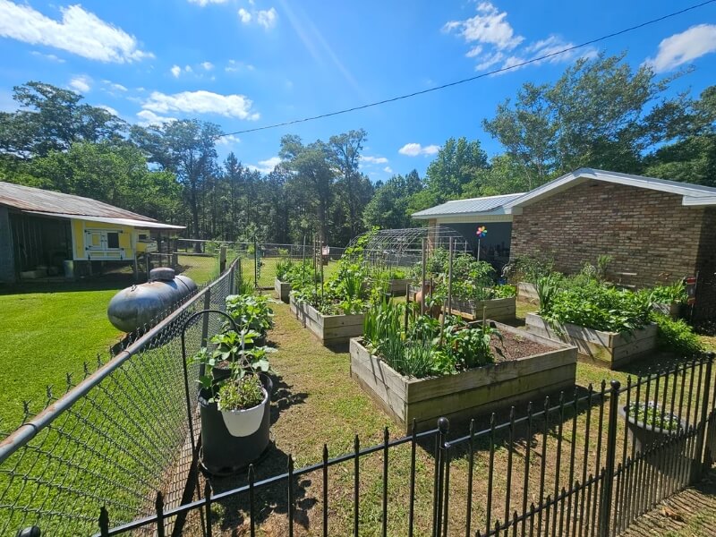 An outdoor garden with raised beds. 