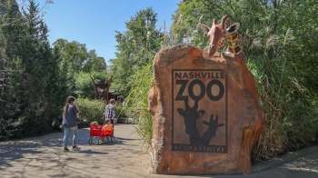 A stone entrance sign for Nashville Zoo features a giraffe and visitors walking with a wagon through greenery.