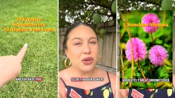 A woman with hoop earrings discusses Florida native groundcovers, with images of grass and pink flowers.