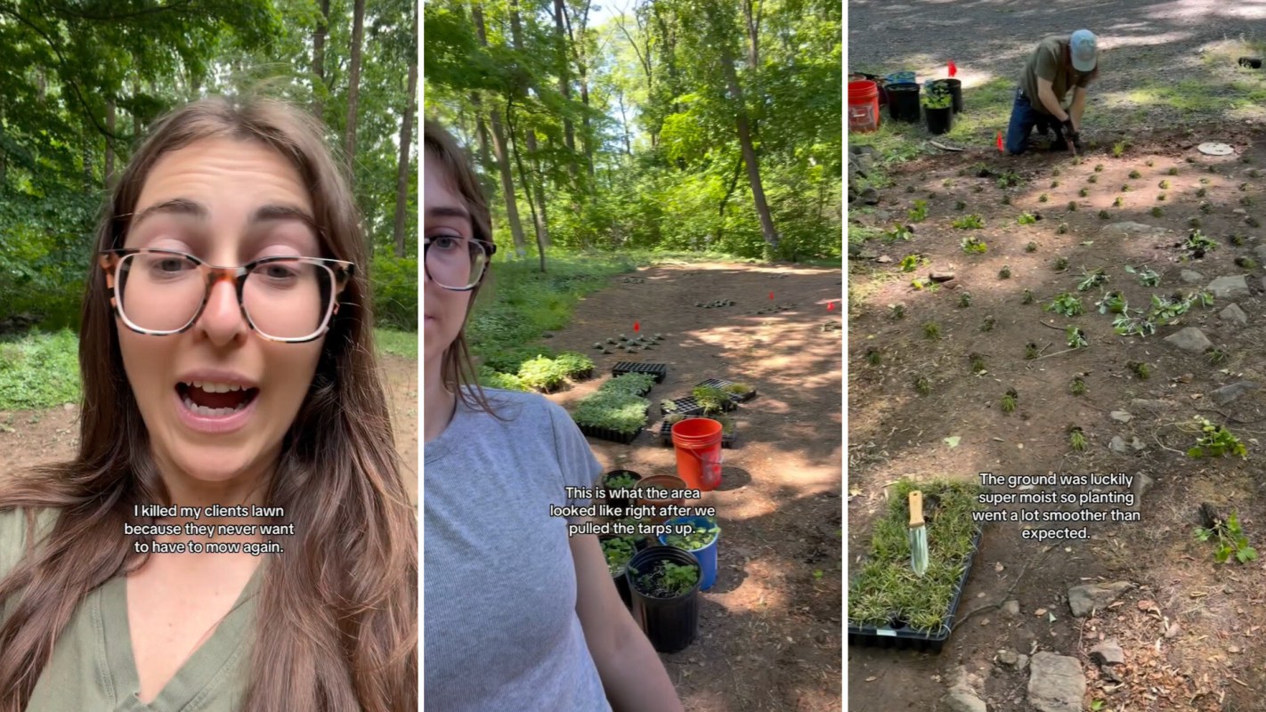 A woman discusses a landscaping project in a wooded area, showcasing plants arranged for planting in the ground.