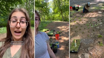 A woman discusses a landscaping project in a wooded area, showcasing plants arranged for planting in the ground.